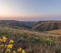Lower Deschutes - 10,198 acres WMA for hunting Deer & Quail in Deschutes, OR