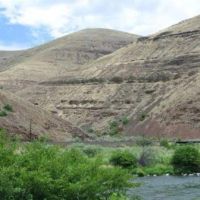 Lower Deschutes - 10,198 acres WMA for hunting Deer & Quail in Deschutes, OR images 2
