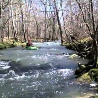 Bayou Des Arc WMA - 953 acres hunting property for Deer & Duck in Prairie, AR