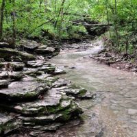 Beaver Lake WMA - 8,007 acres Deer & Quail hunting land in Benton, AR