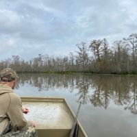 Swamp pic 6