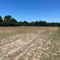 60 Acres in Irwin County Georgia images 2