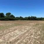 60 Acres in Irwin County Georgia images 4