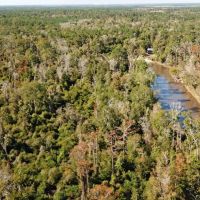1230.84 ACRES ALLEN CALCASIEU PARISH LOUISIANA