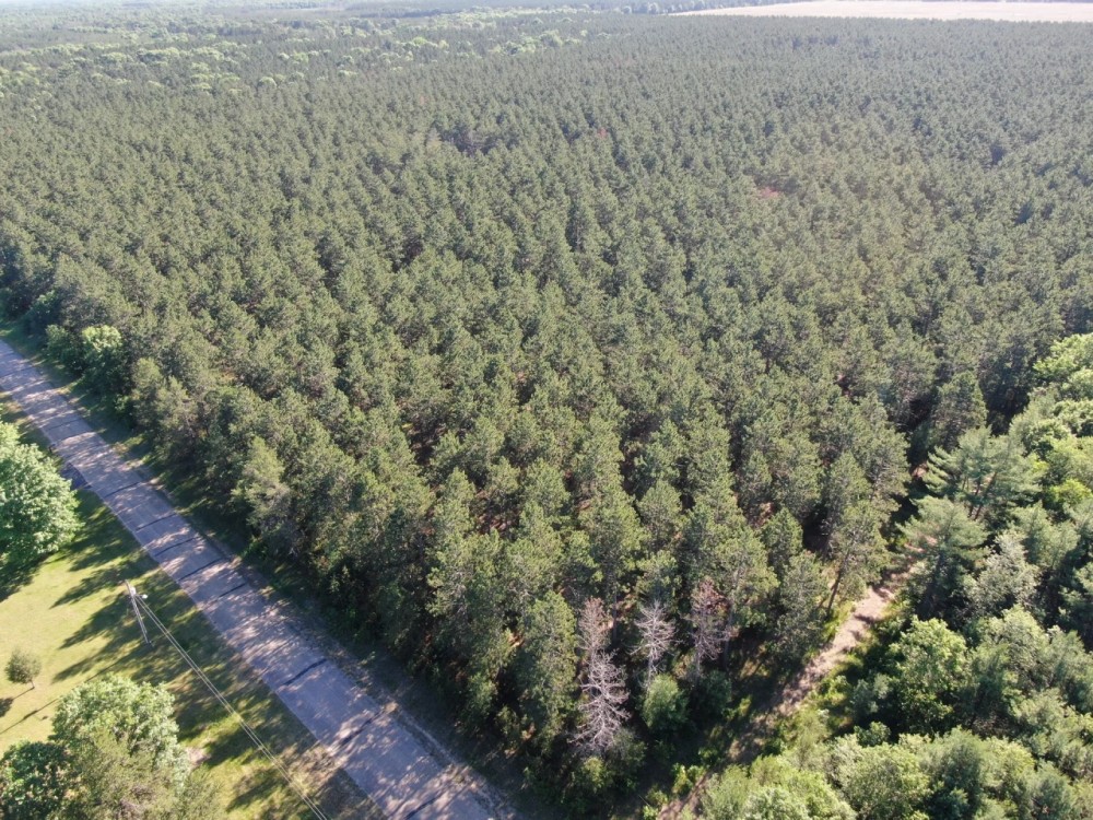 Adams County WI land Consisting of 21.924 Acres of Timber with Trails featured image
