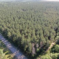 Adams County WI land Consisting of 21.924 Acres of Timber with Trails