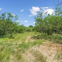 TBD Boswell Court Lipan Texas 76462 images 2
