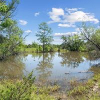 TBD Boswell Court Lipan Texas 76462 images 3