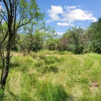 TBD Boswell Court Lipan Texas 76462 images 4