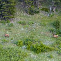 Castle Rock River Ranch images 4