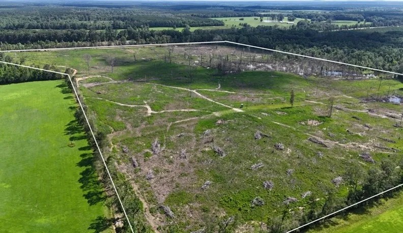 88.8 Acres in Newton County in Lawrence MS featured image