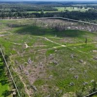 88.8 Acres in Newton County in Lawrence MS