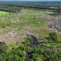 88.8 Acres in Newton County in Lawrence MS images 2