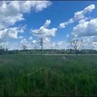 88.8 Acres in Newton County in Lawrence MS images 4
