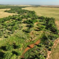 Buffalo Creek 160