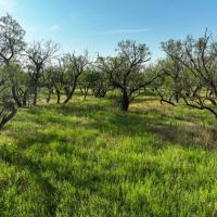 Buffalo Creek 160 images 4
