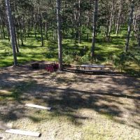 Northern Adams County Land Consisting of 21.924 Acres of Timber with Camp Site Trails images 3