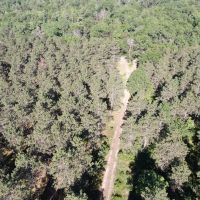 Northern Adams County Land Consisting of 21.924 Acres of Timber with Camp Site Trails images 4