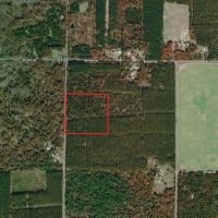 Northern Adams County Land Consisting of 21.924 Acres of Timber with Camp Site Trails images 5