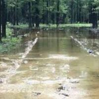 Beryl Anthony  - 7,020 acres Deer & Turkey hunting land in Union, AR