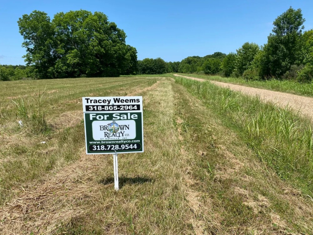 LA - Tensas 85 acres - featured image