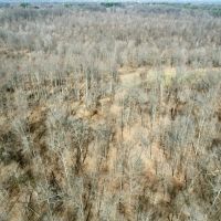 All wooded tract in Jackson Co. Illinois images 4