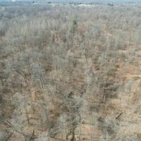 All wooded tract in Jackson Co. Illinois images 5