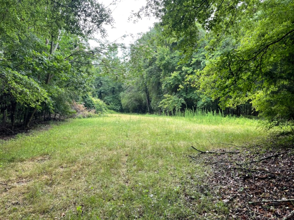 140 - ac on Luke Paschal Rd featured image