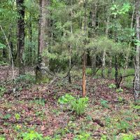140 - ac on Luke Paschal Rd images 3