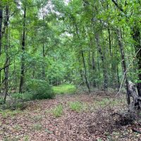 140 - ac on Luke Paschal Rd images 5