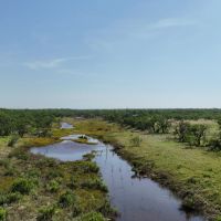 199 - Ac with 3 Cabins Mustang Creek Hunting Recreational Land