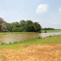 110 Acres in Burleson County images 2