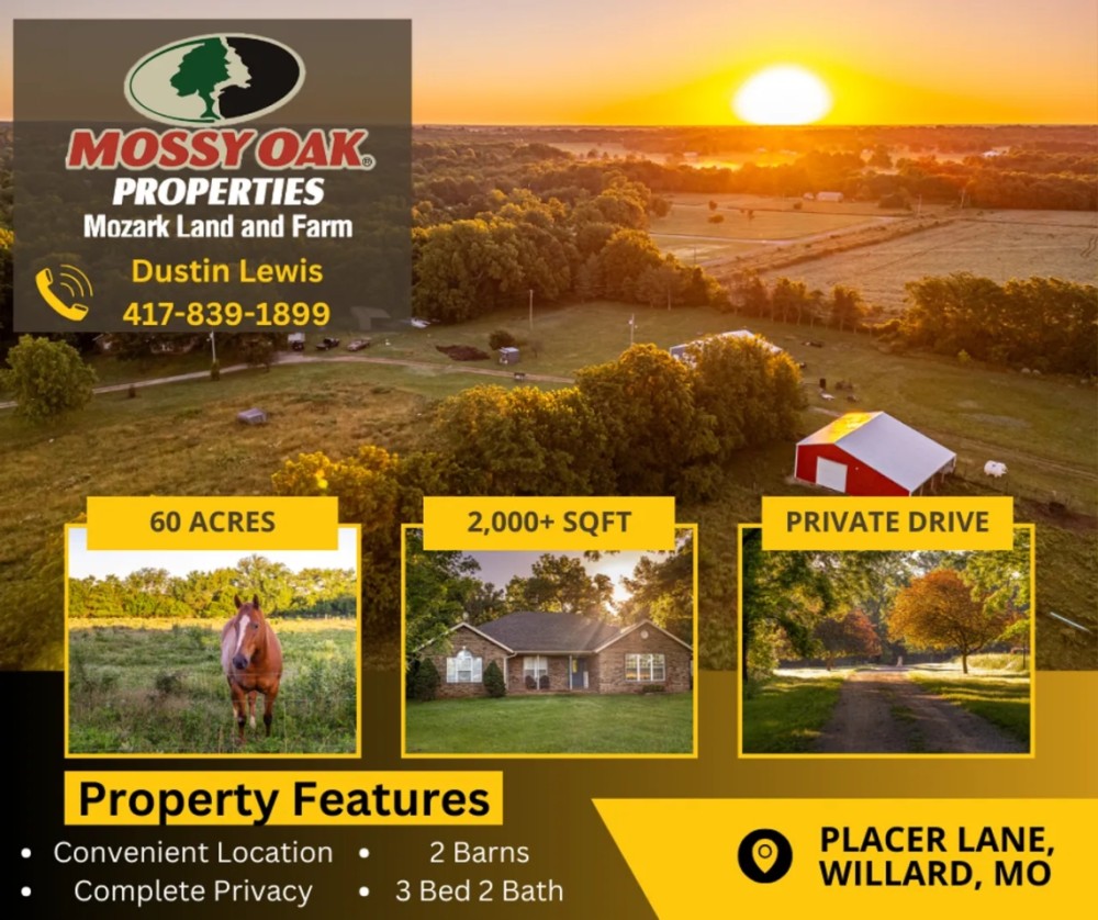 Willard MO Horse Lovers Dream featured image