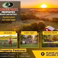 Willard MO Horse Lovers Dream