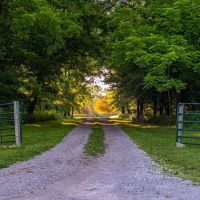 Willard MO Horse Lovers Dream images 2