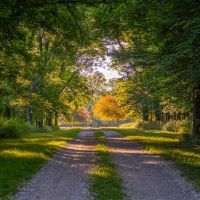 Willard MO Horse Lovers Dream images 3