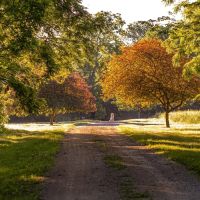 Willard MO Horse Lovers Dream images 4