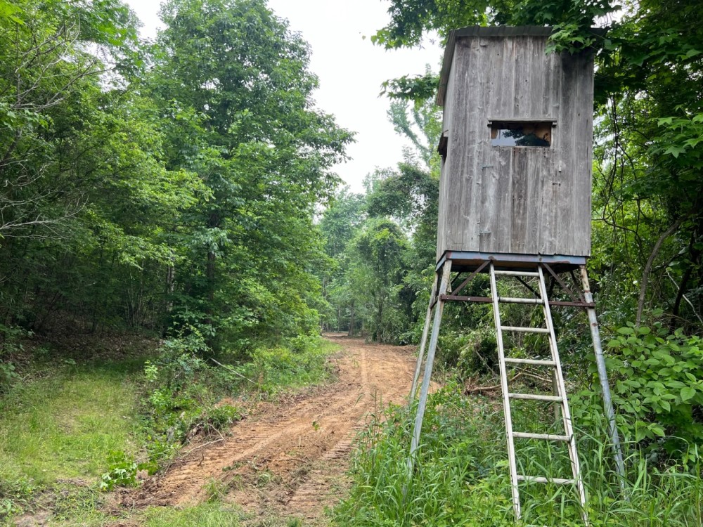 MS - Claiborne 91 acres - featured image