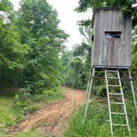 MS - Claiborne 91 acres -