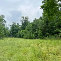MS - Claiborne 91 acres - images 2