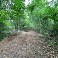 MS - Claiborne 91 acres - images 5