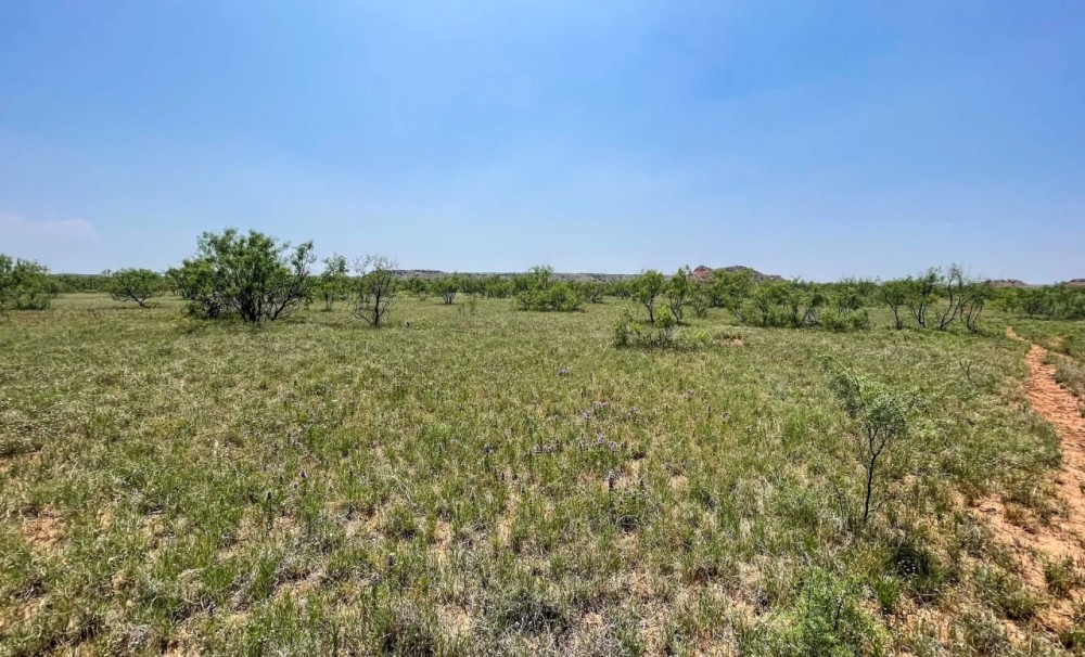 Borden County Guilliams Ranch featured image