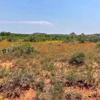 Borden County Guilliams Ranch images 2