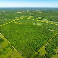 160 - Acres Main House 2 Metal Cabins Pond Woods Secluded Fulton County Gepp Arkansas images 2