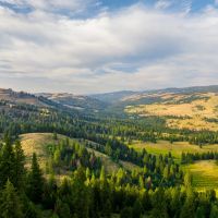Sanctuary on Third Fork