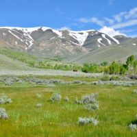 Cottonwood Ranch