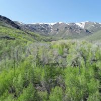 Cottonwood Ranch images 3