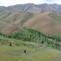 Cottonwood Ranch images 4