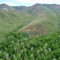 Cottonwood Ranch images 5