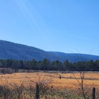 River Ranch images 5